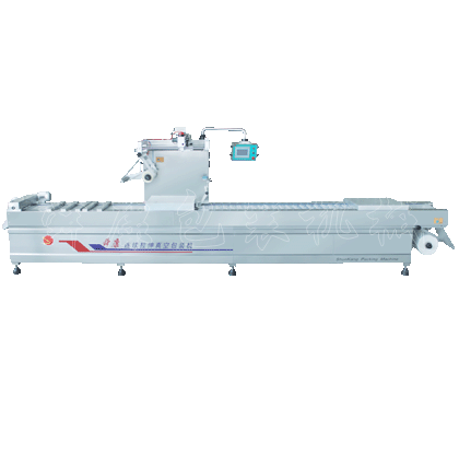 DZ520.620系列自動(dòng)連續包裝機